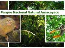 Qué ver en el Parque Nacional Amacayacu