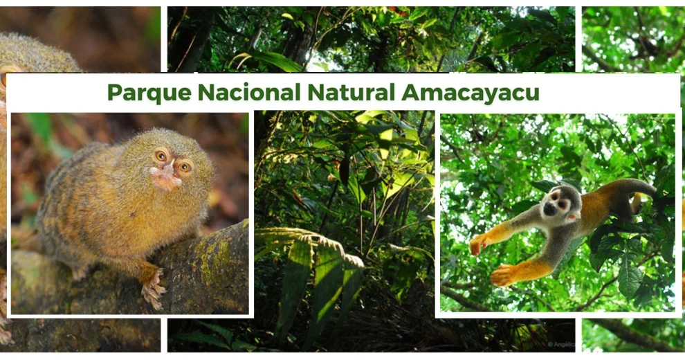 Qué ver en el Parque Nacional Amacayacu